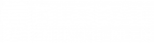 Global Entrepreneur logo White Global Entrepreneur logo White